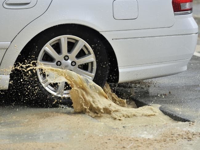 Lo nunca visto: llueve mierda en Canadá