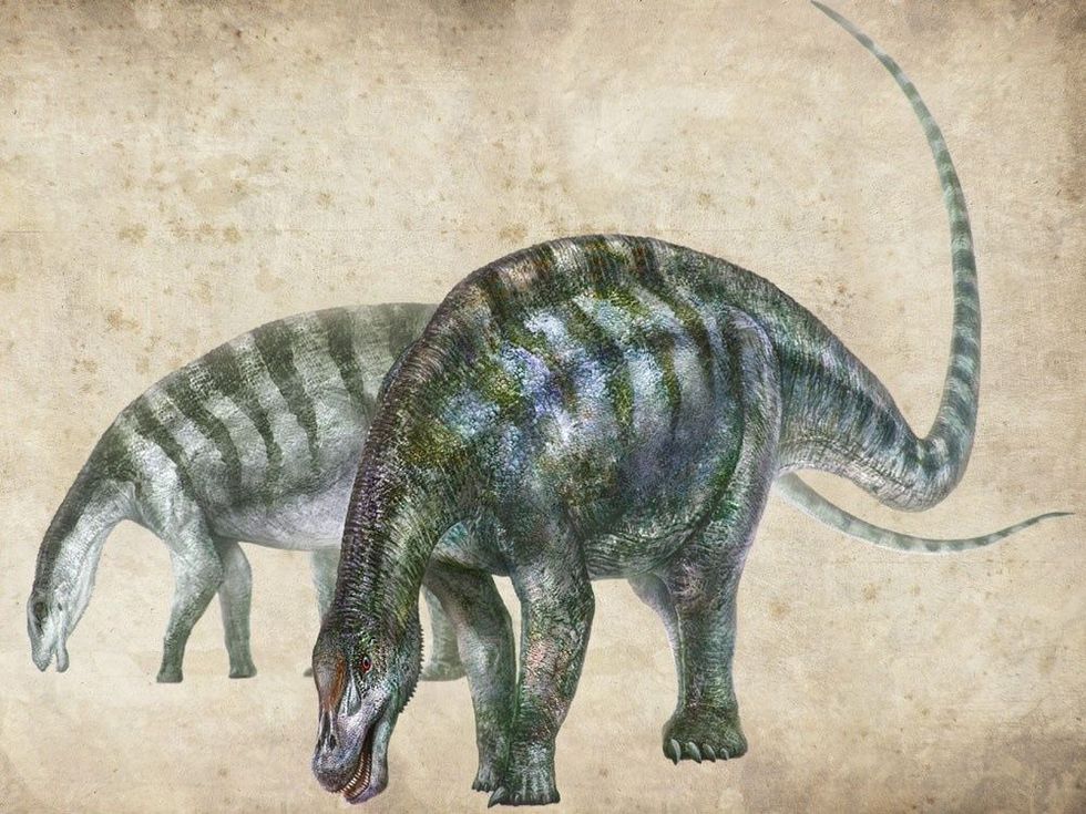 El descubrimiento de un Dragón cambia todas las teorías sobre los dinosaurios