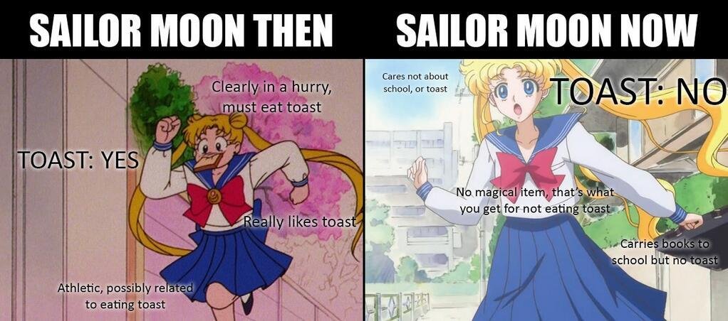 10 divertidísimos recuerdos de Sailor Moon Memes sólo los verdaderos exploradores lo entenderán 5