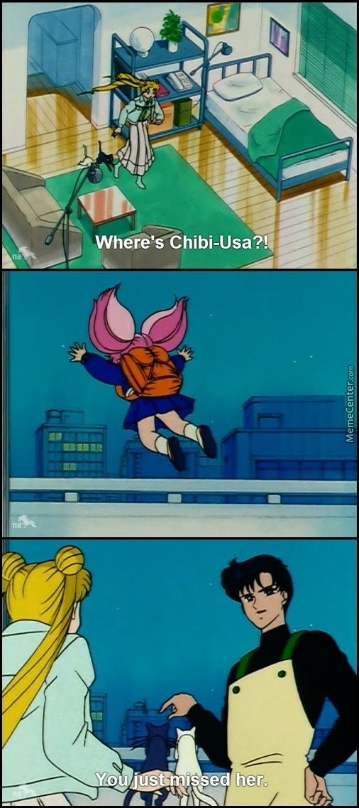 10 divertidísimos recuerdos de Sailor Moon Memes sólo los verdaderos exploradores lo entenderán 9