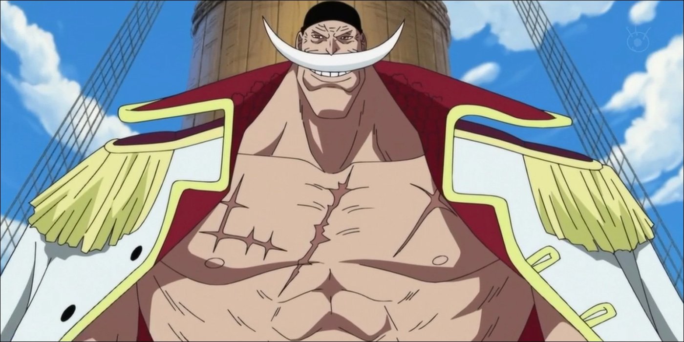 One Piece: 10 diferencias entre el anime y el manga 1
