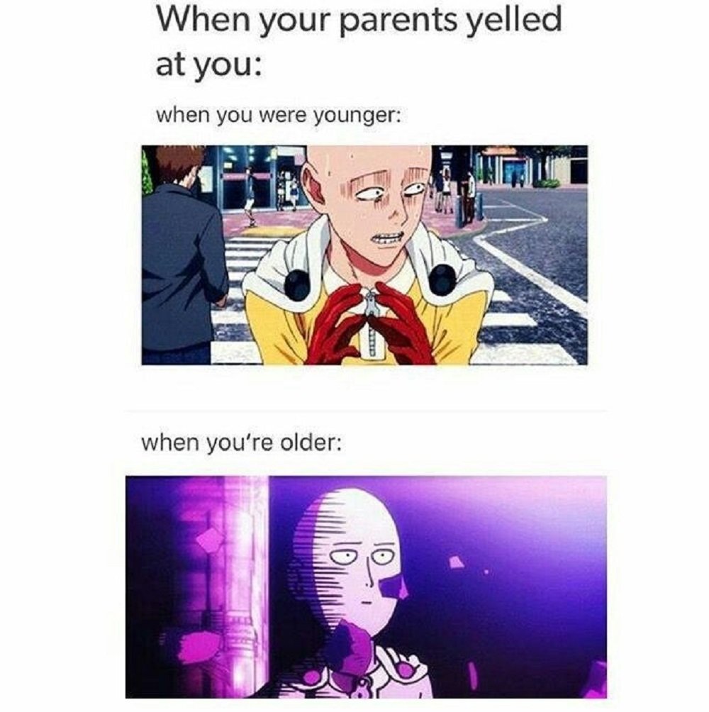 One-punch Man: 10 hilarantes memes de Saitama 9