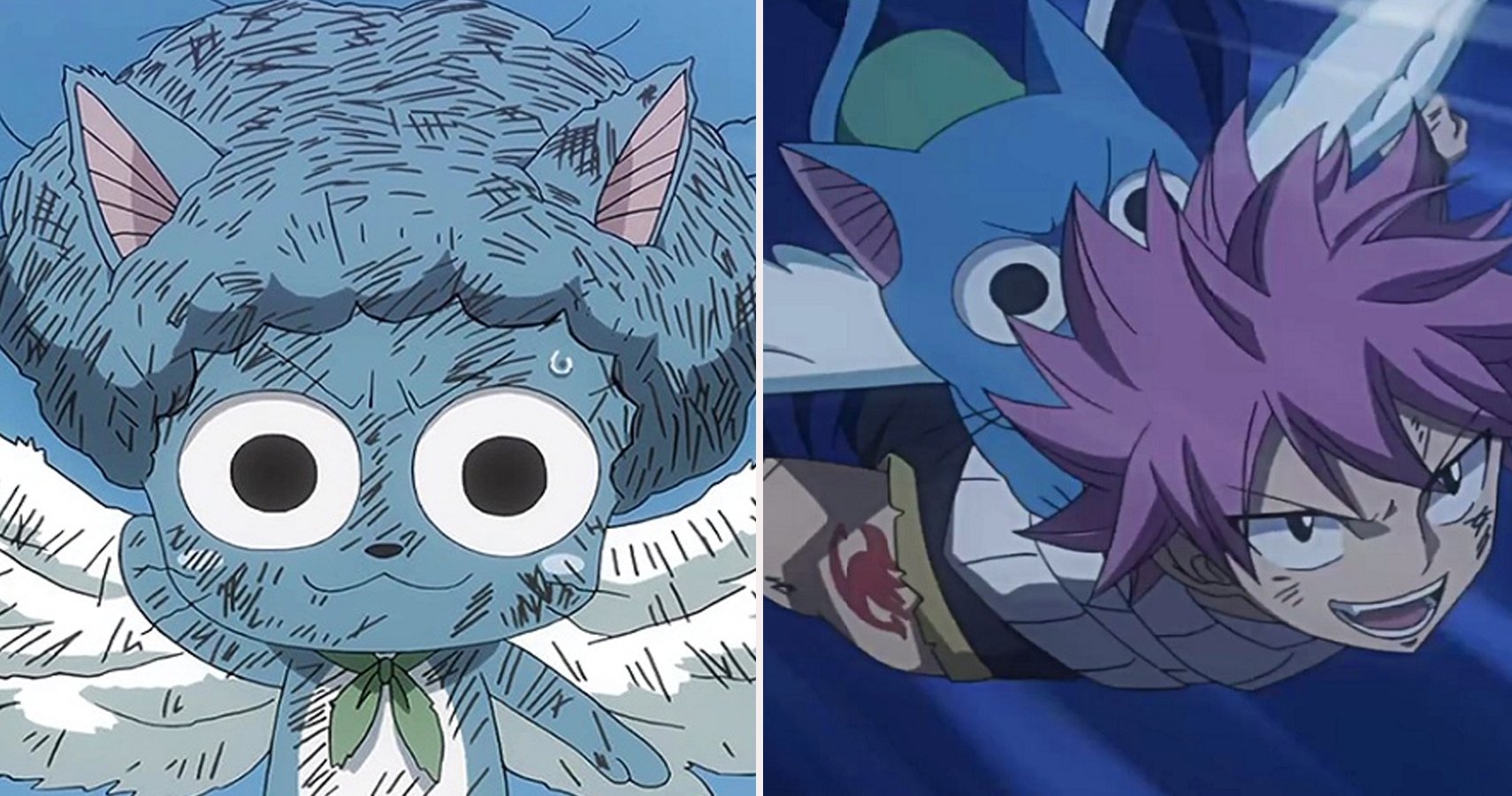 Las cosas que no sabias de Happy de Fairy Tail