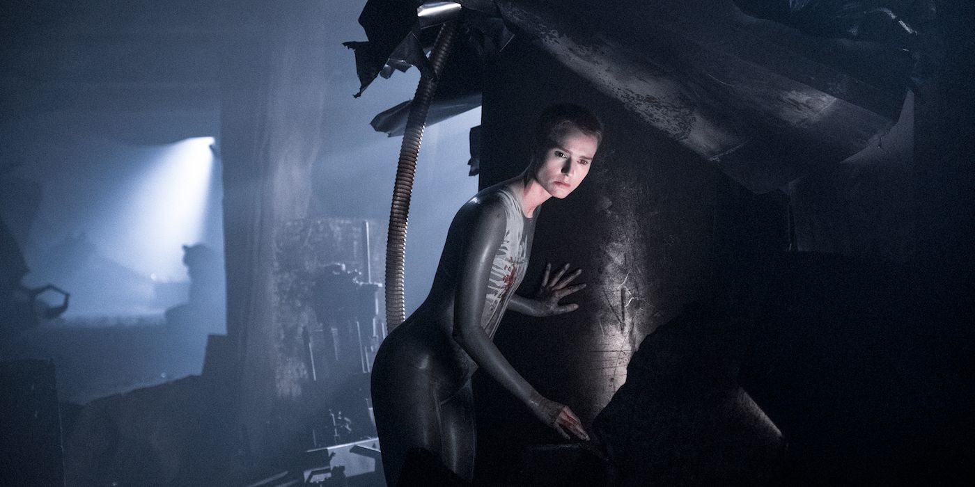 Criado por la nueva colonia de lobos ya tiene un traidor en su medio