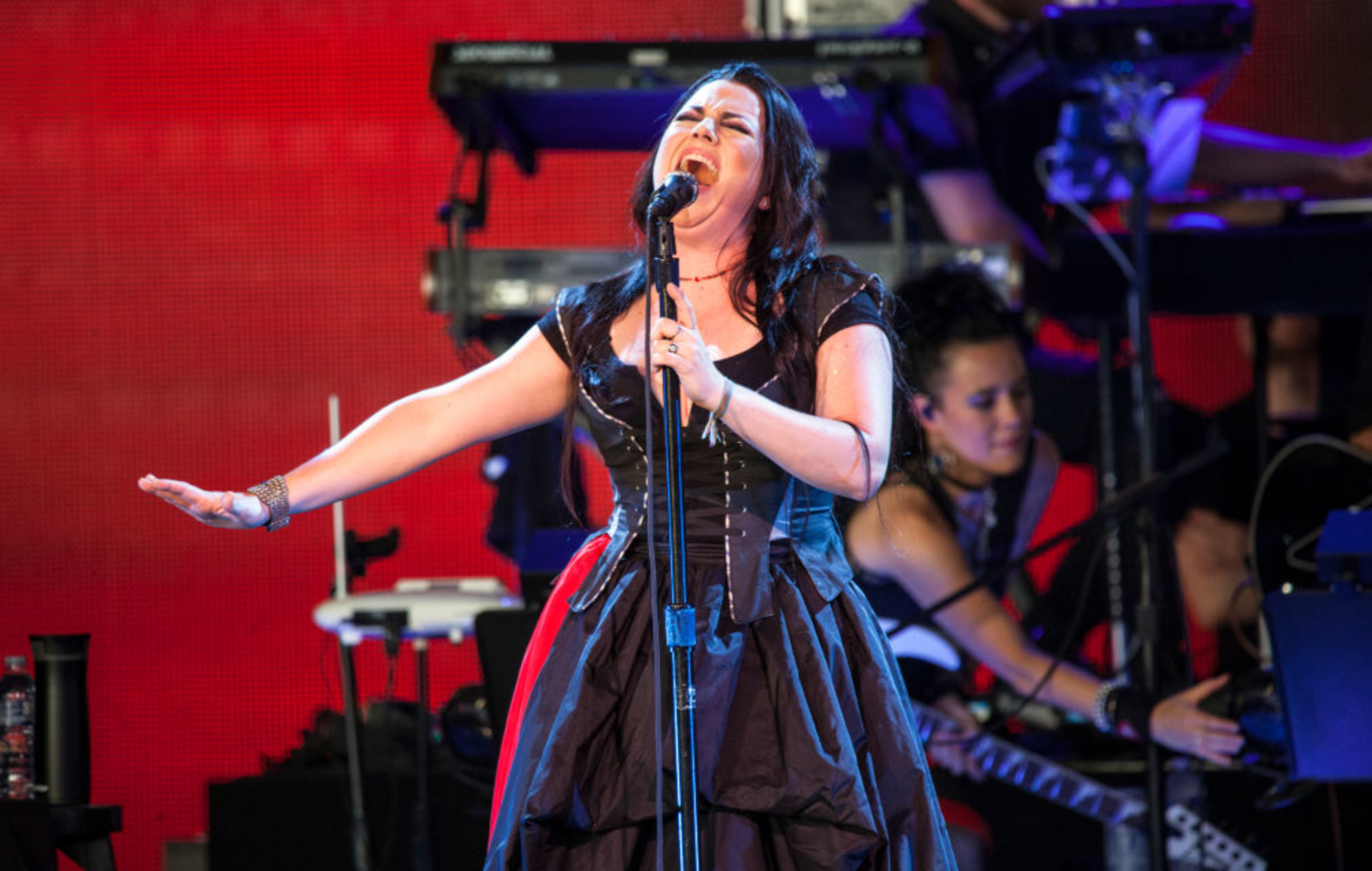 Amy Lee de Evanescence dice que el sello discográfico quería un cantante masculino para hacer la banda 