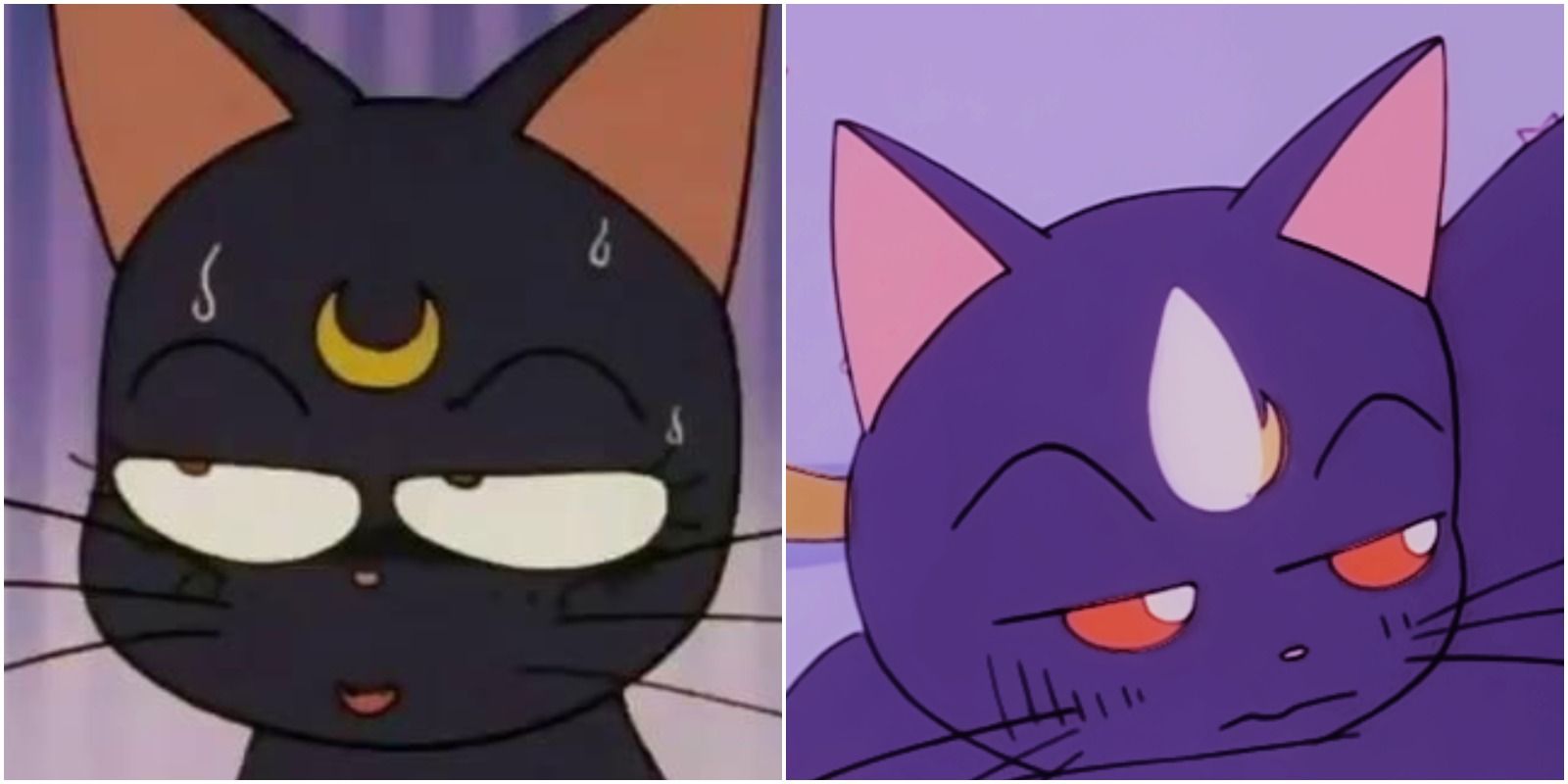 Sailor Moon: Las 10 quemaduras más oscuras de la Luna