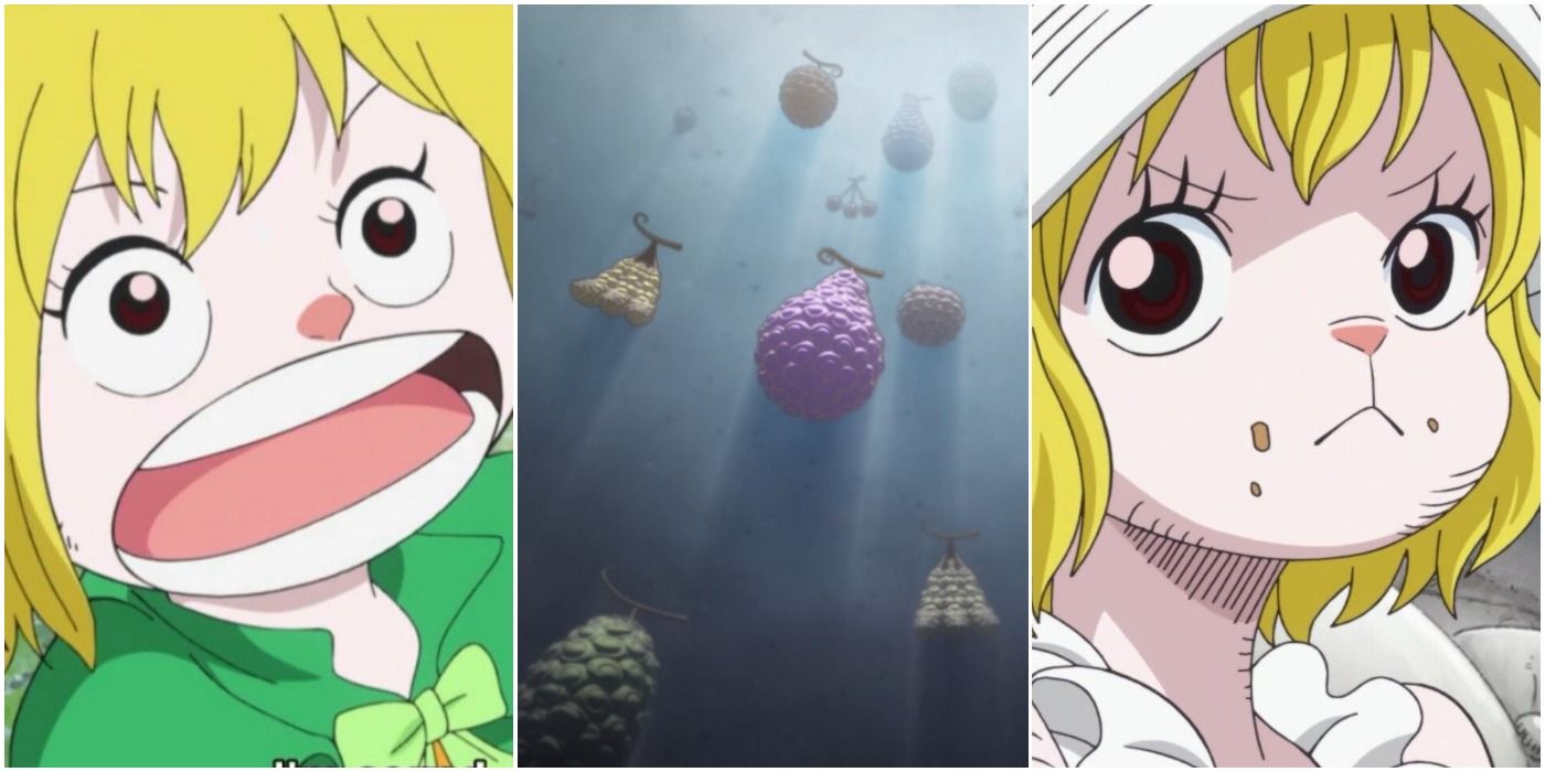 One Piece: 5 poderes de frutas del diablo que a la zanahoria le encantaría tener