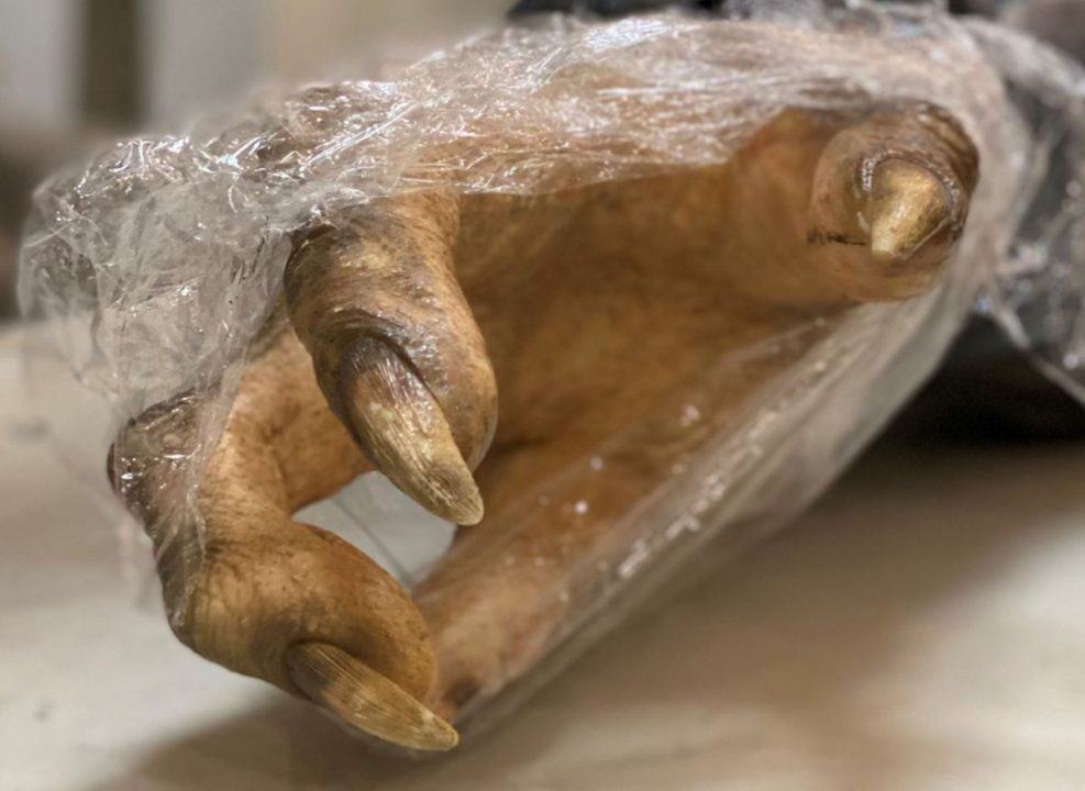 La serie de TV Halo obtiene las primeras fotos del set y la voz del actor Cortana