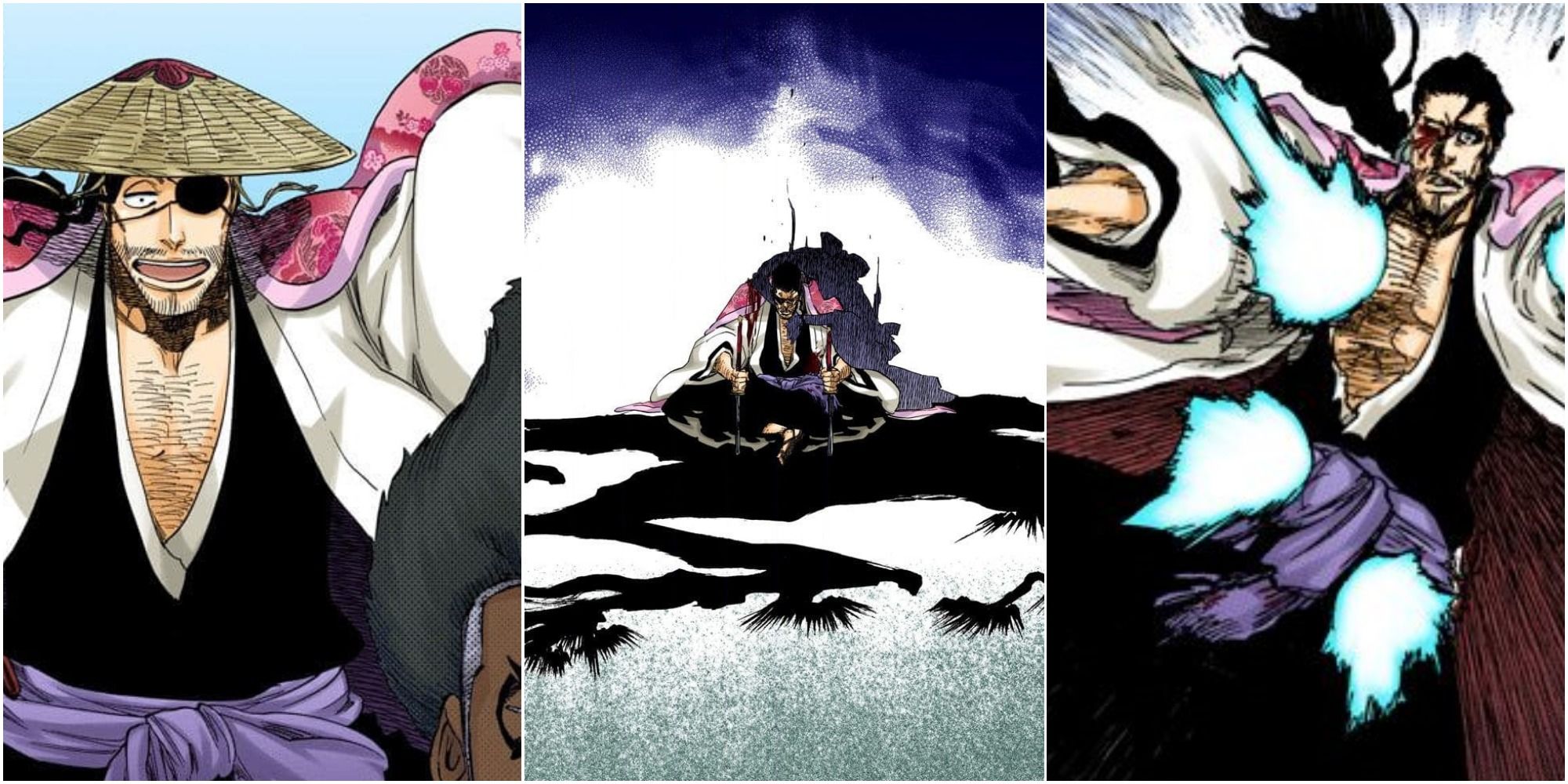 Bleach: 10 cosas que los fans de los animales no saben sobre Shunsui Kyoraku