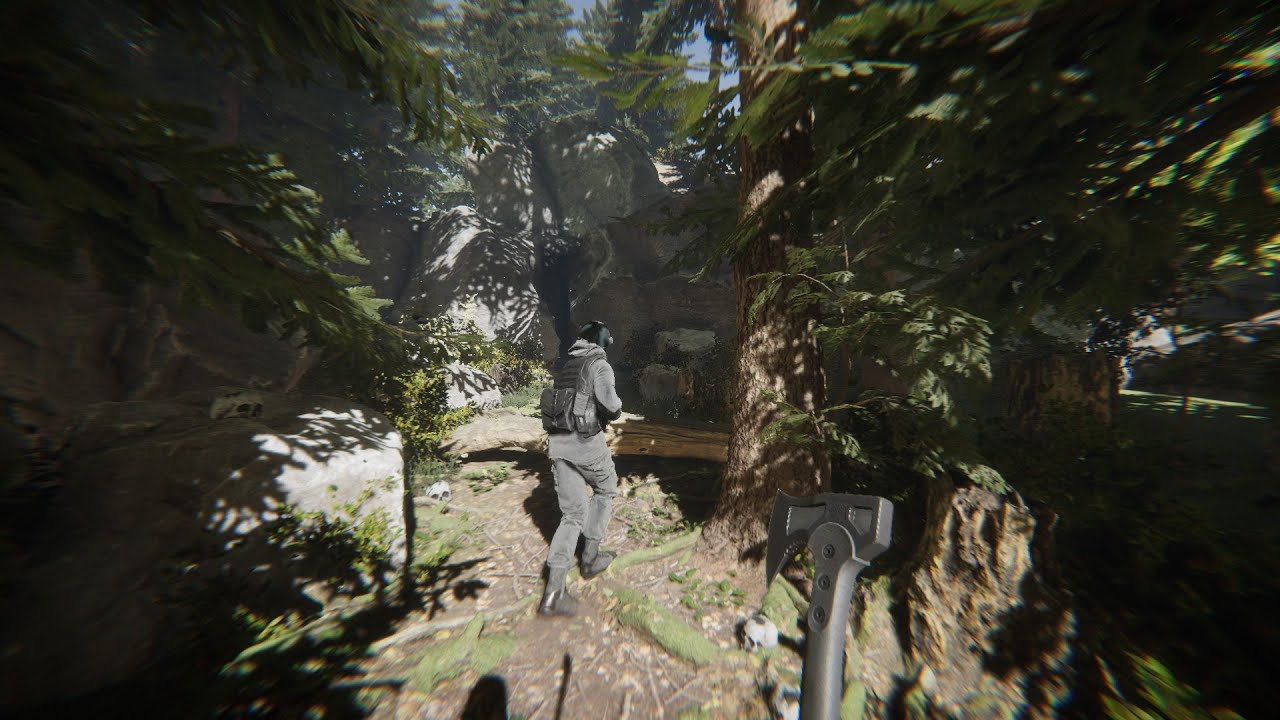 Hijos del Bosque, las estaciones y los nuevos y más complejos sistemas de IA te obligarán a adaptarte para sobrevivir - Entrevista