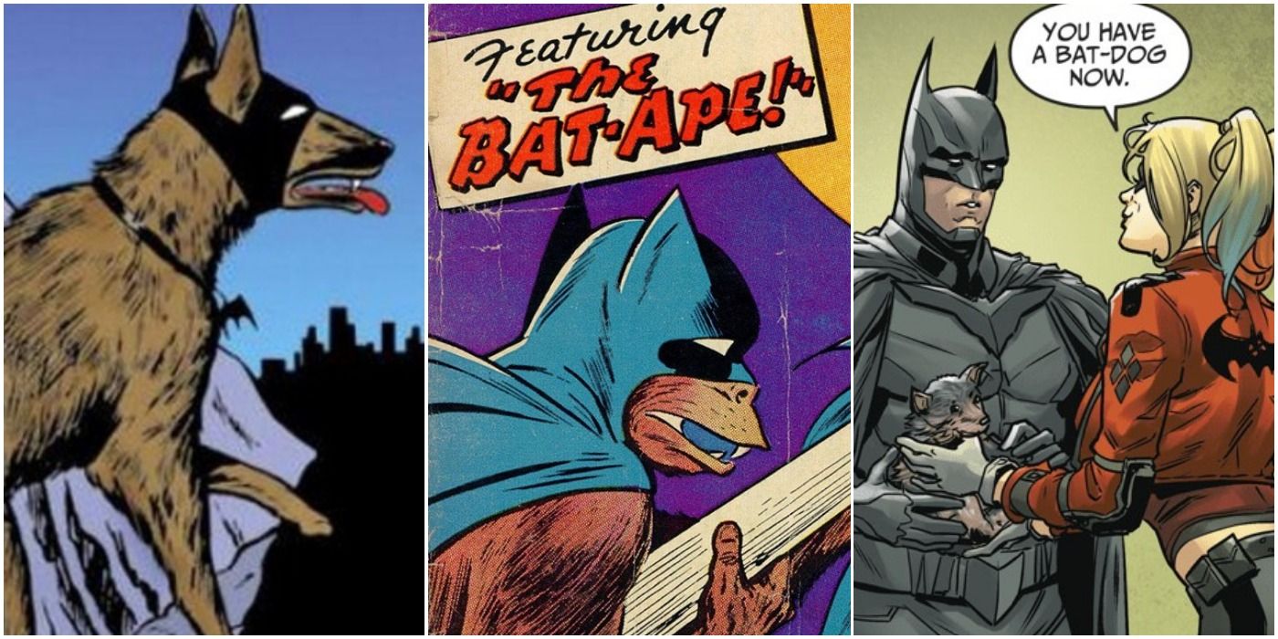 Todas las mascotas de Batman en los cómics (en orden cronológico)