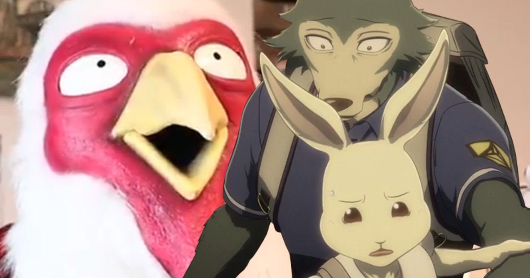 Beastars: 10 cosas que debes saber antes de ver el anime