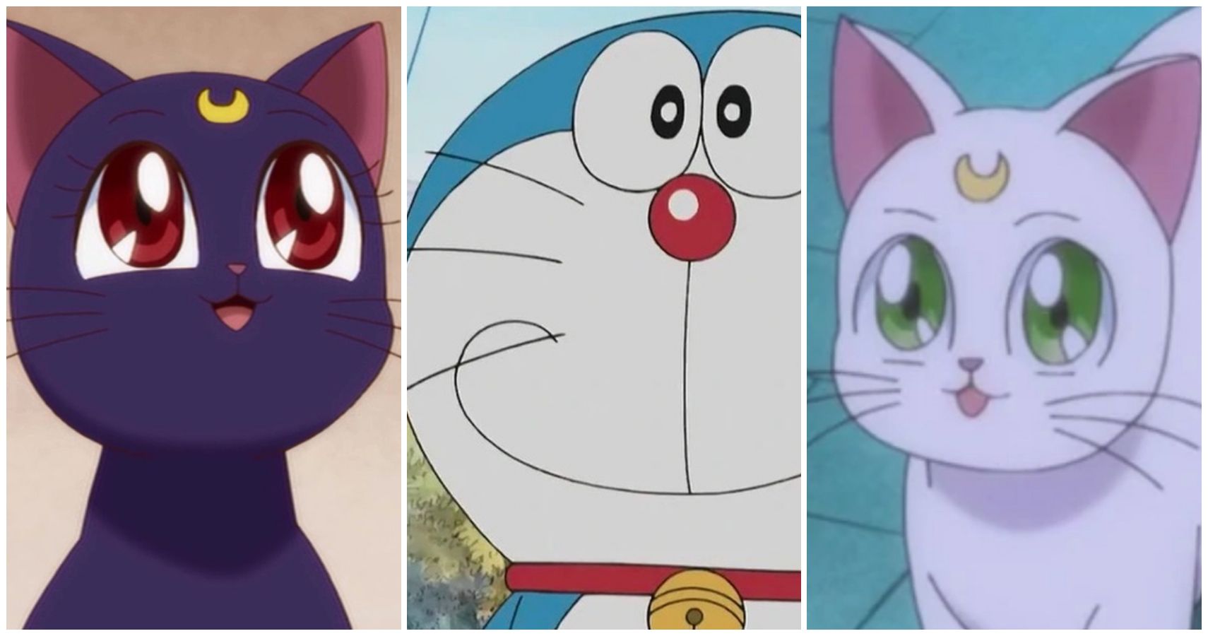 11 felinos más fieles del anime, clasificados