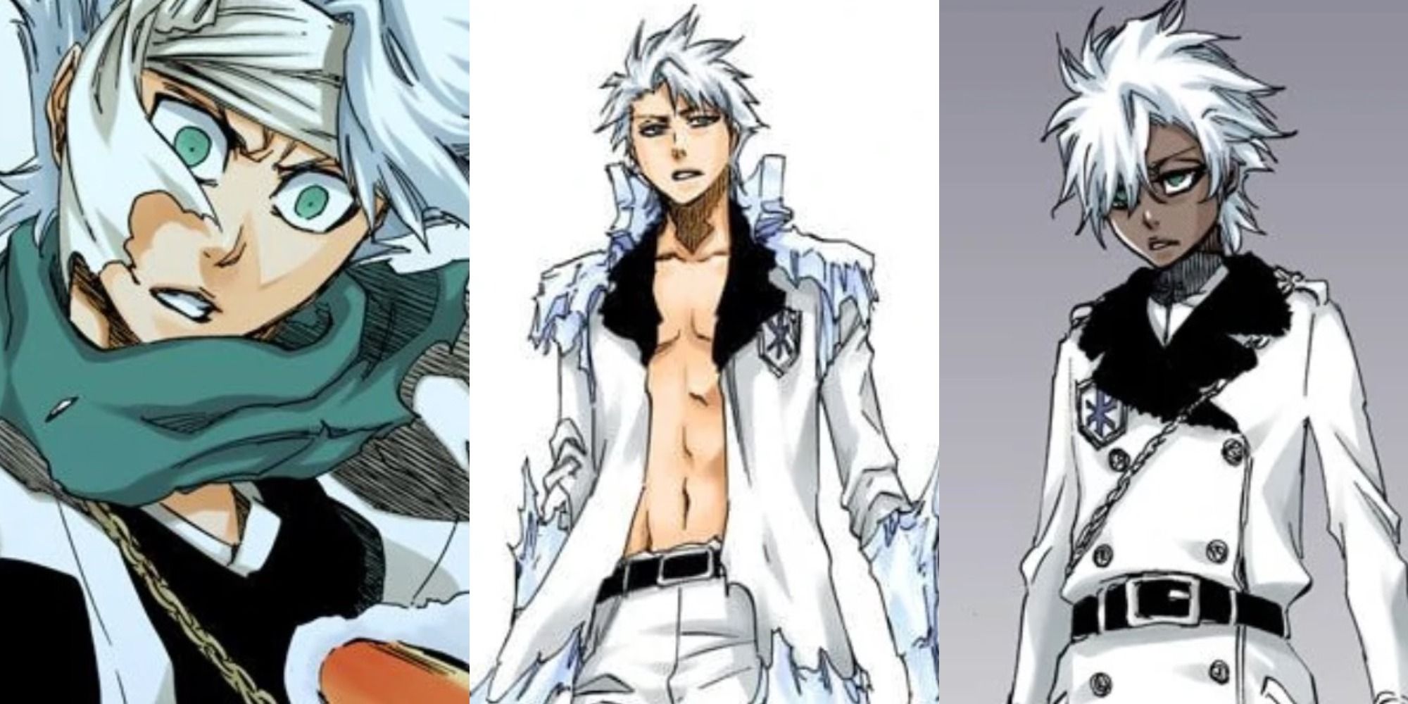Bleach 10 cosas que los fans del anime no saben sobre Hitsugaya Cultture
