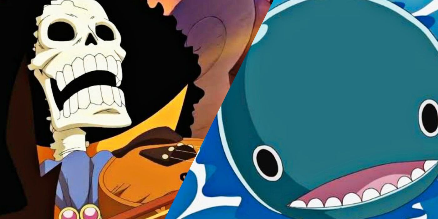 One Piece: Las 10 mejores amistades de la serie, clasificadas