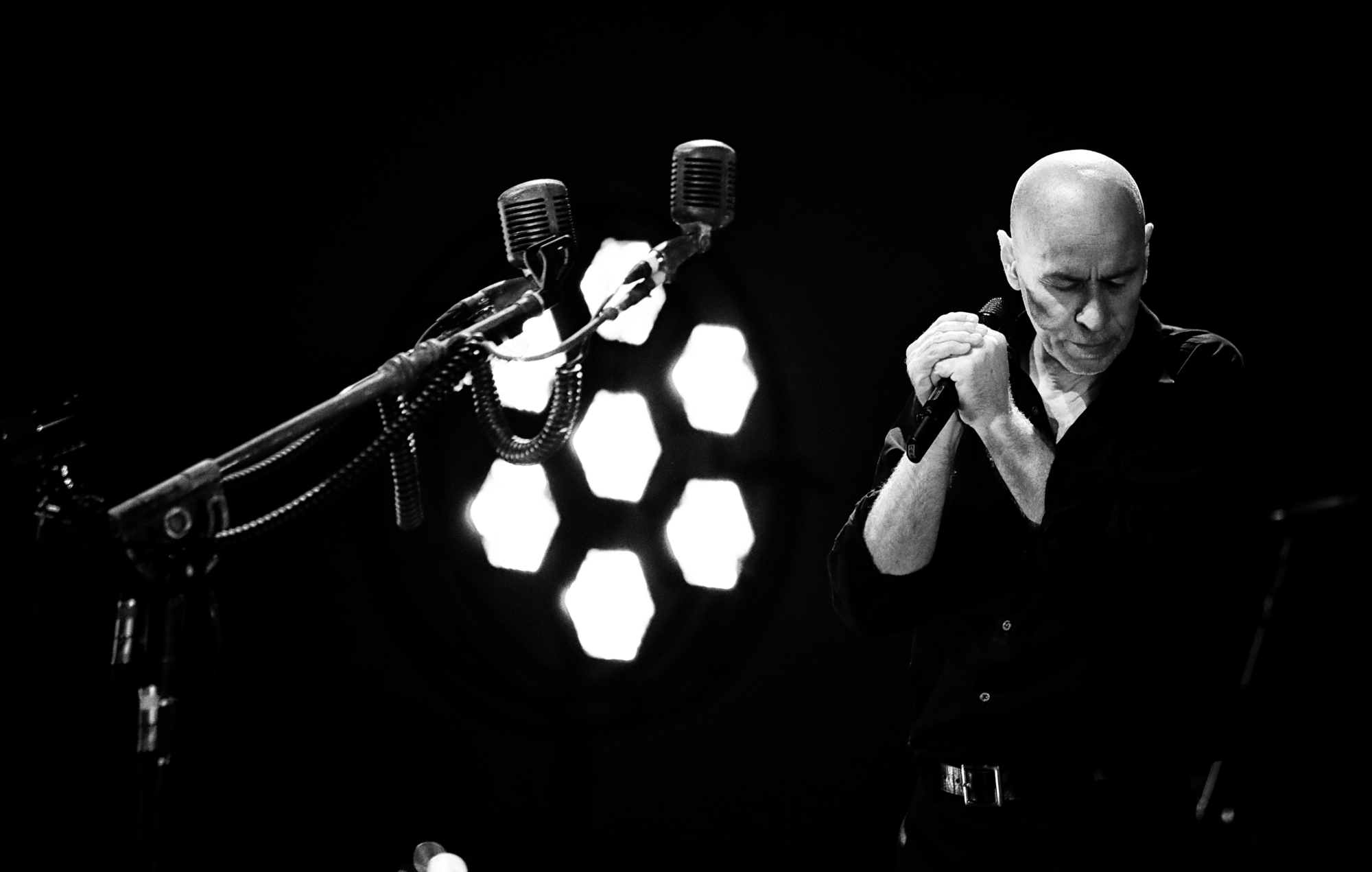 The The anuncian el proyecto multiformato 'The Comeback Special'