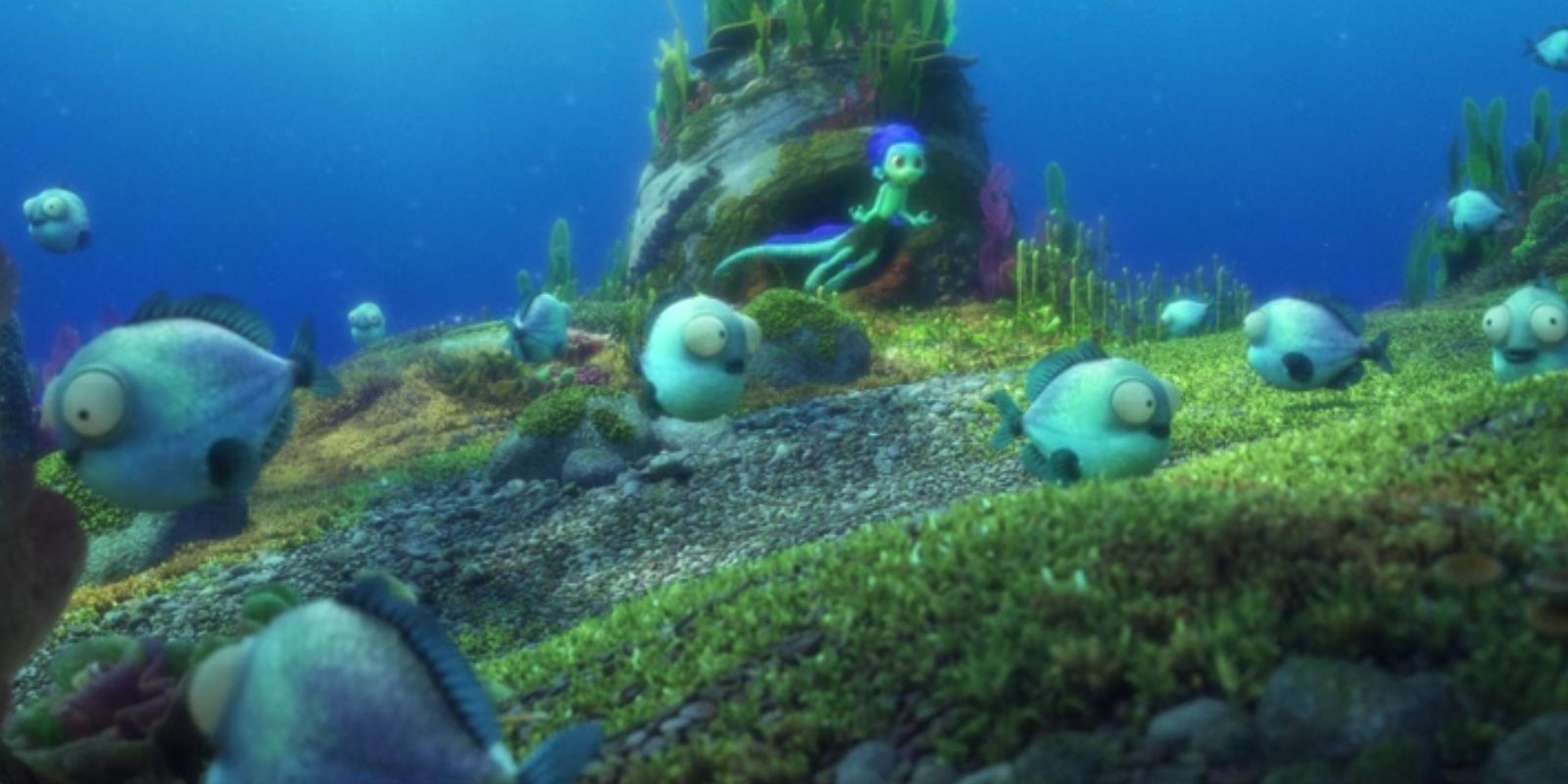 Los peces cabra de Luca son reales, pero ni de lejos tan adorables como en la película