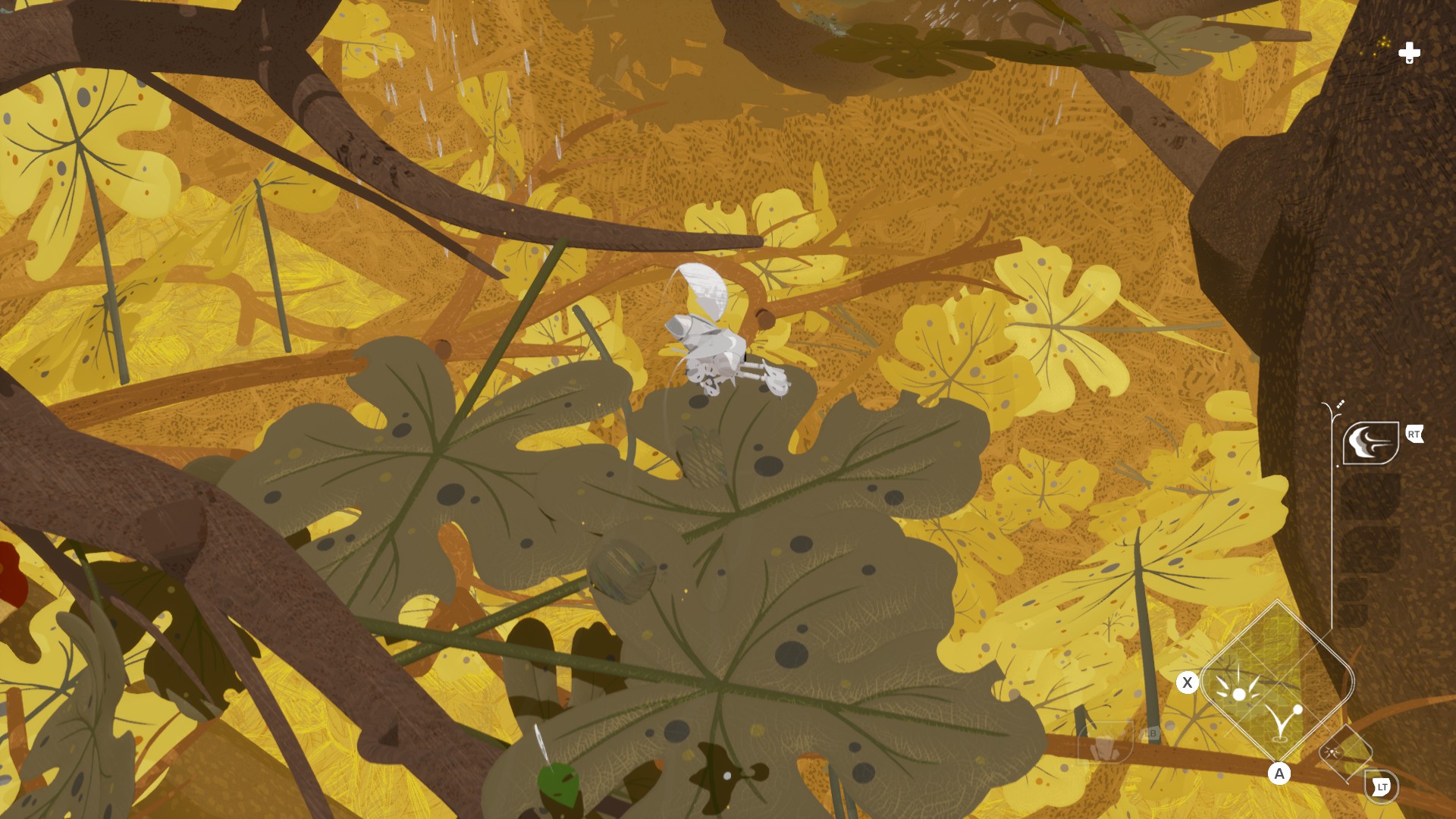 Revisión de Stonefly