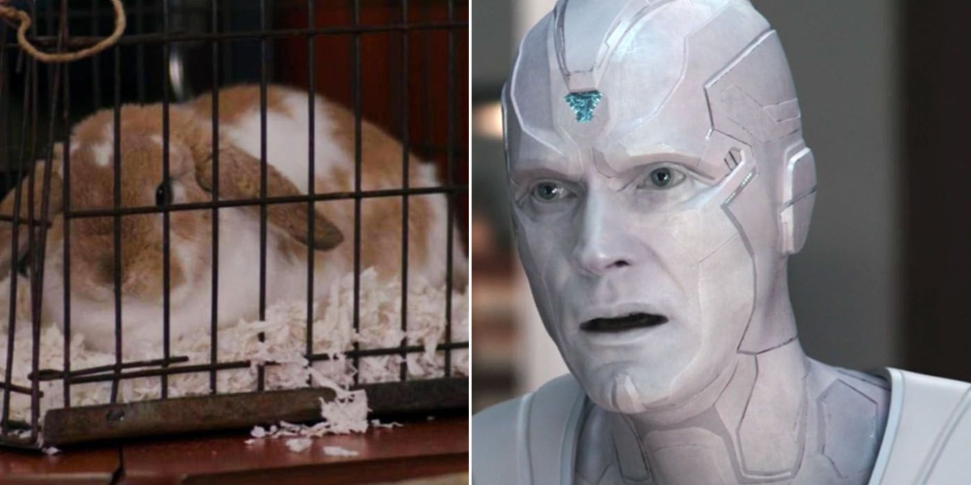 WandaVision: 10 cosas de la serie que no tienen sentido