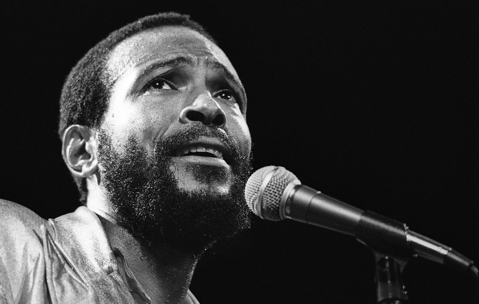 Warner Bros. adquiere el biopic de Marvin Gaye 'What's Going On'