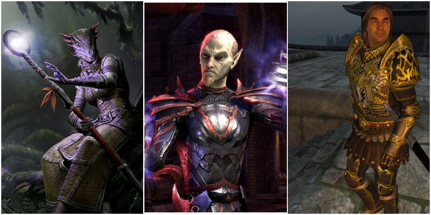 Elder Scrolls: 10 cosas sorprendentes ocultas en la tradición canónica