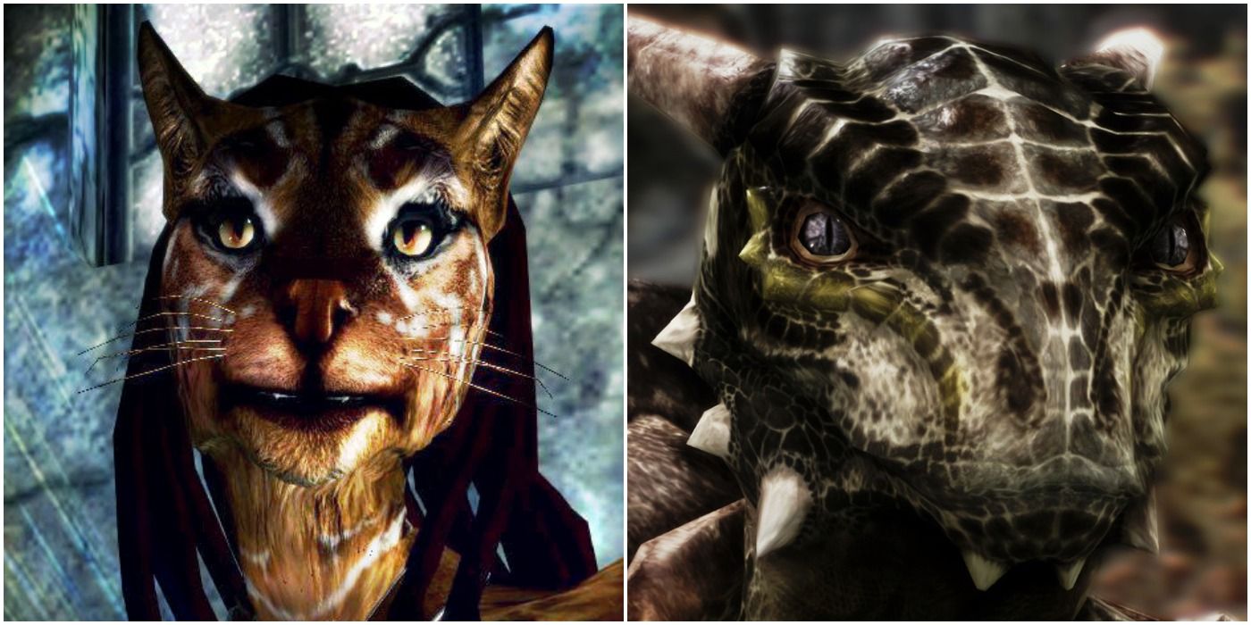 Skyrim: 5 maneras en que los Khajiits son la mejor raza de bestias (y 5 por qué son los Argonianos)