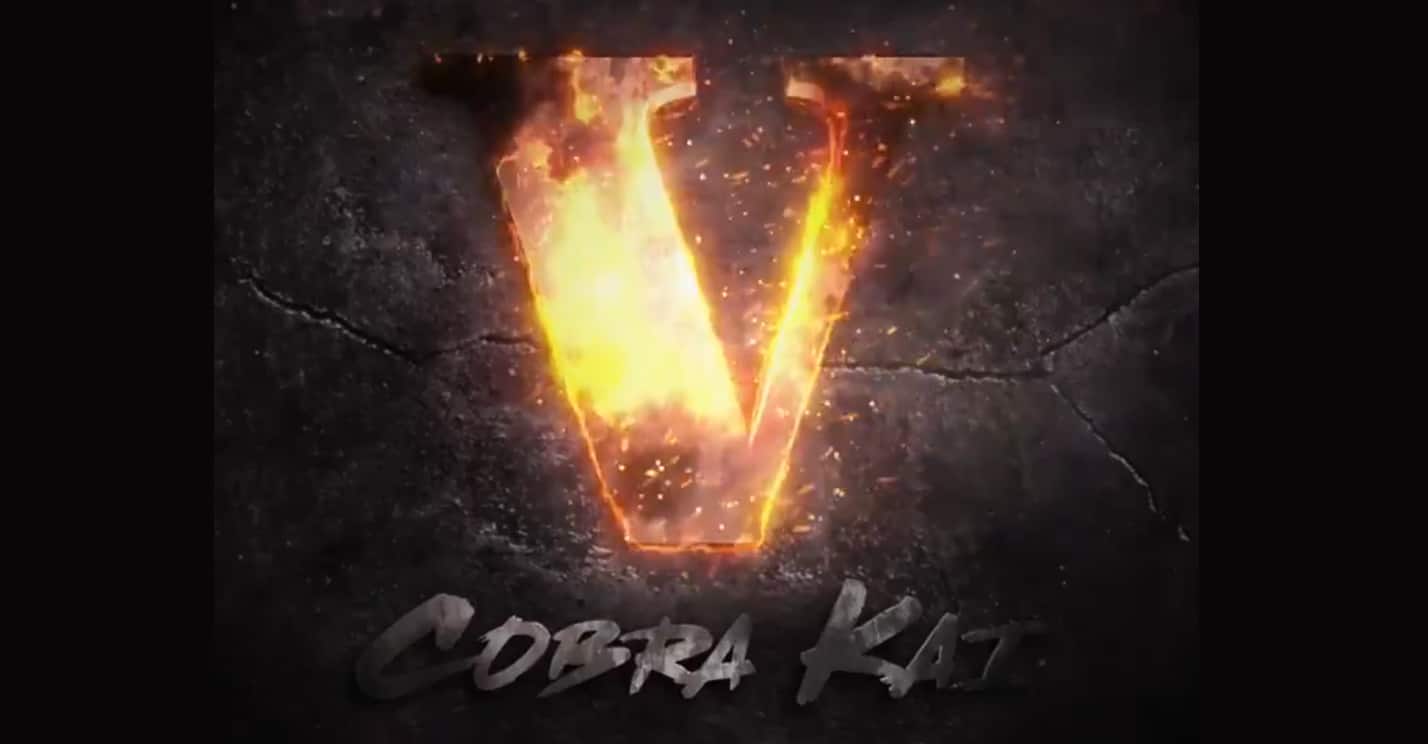 La quinta temporada de Cobra Kai es oficial en Netflix