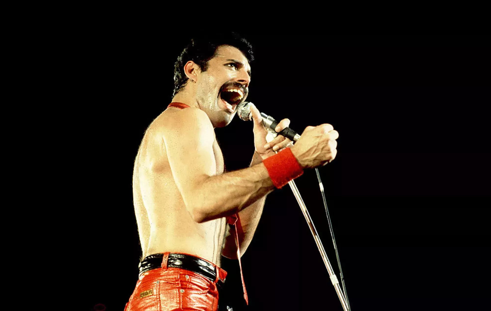 Los fans rinden homenaje a Freddie Mercury de Queen en el 75º cumpleaños del fallecido cantante