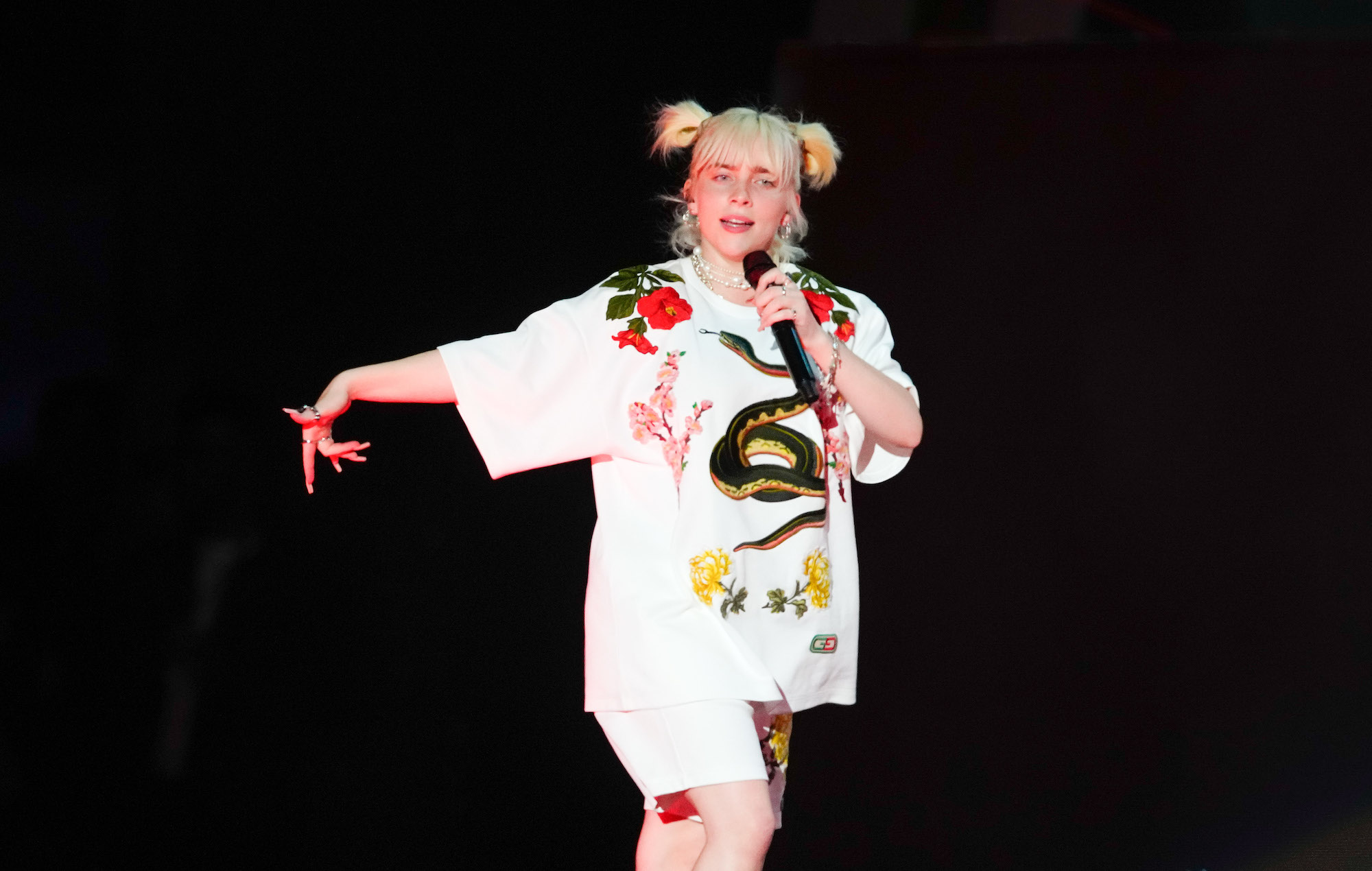 Mira cómo Billie Eilish interrumpe su set para llamar a la seguridad por "no prestar atención"