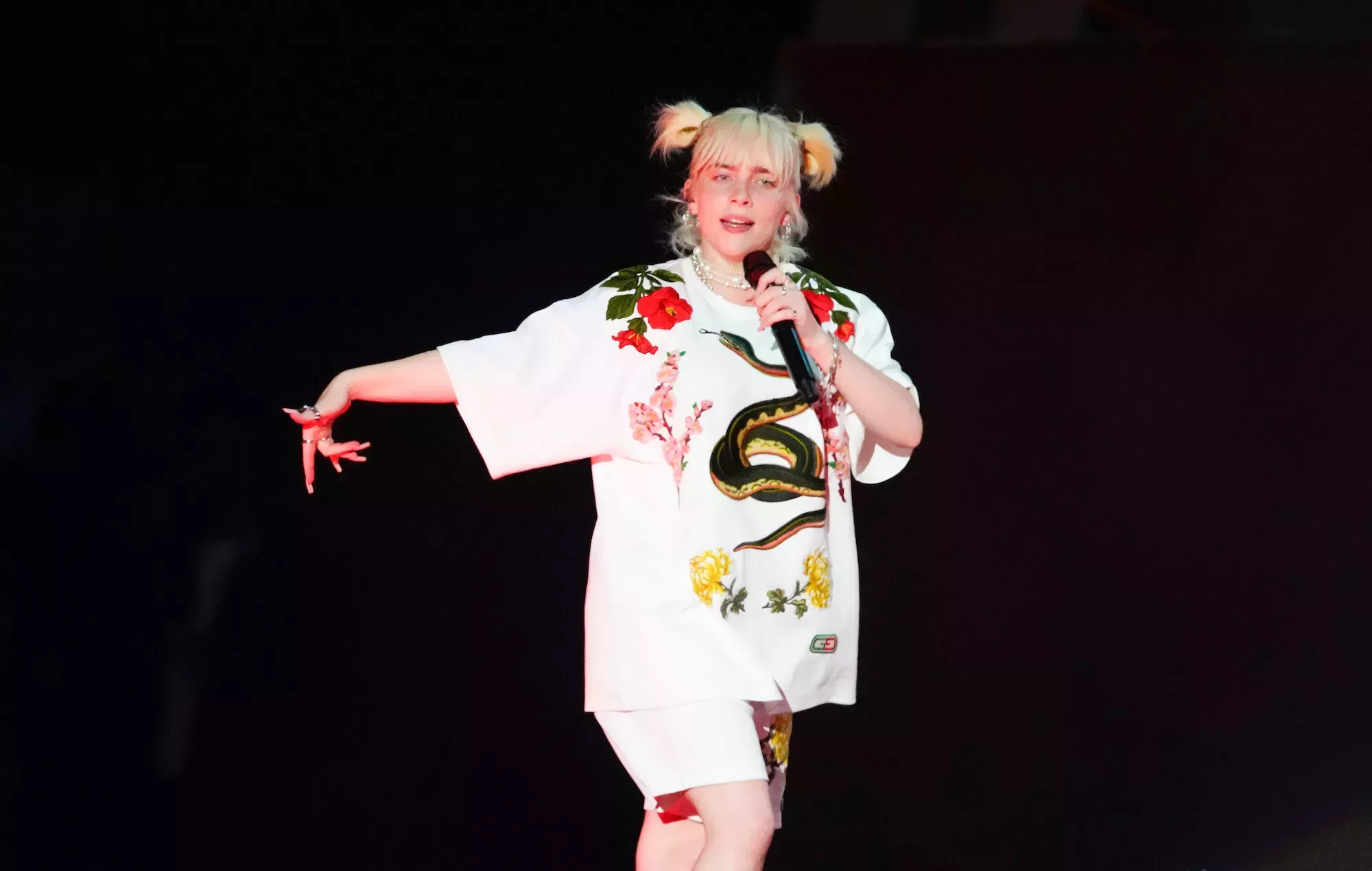 Mira cómo Billie Eilish interrumpe su set para llamar a la seguridad por 