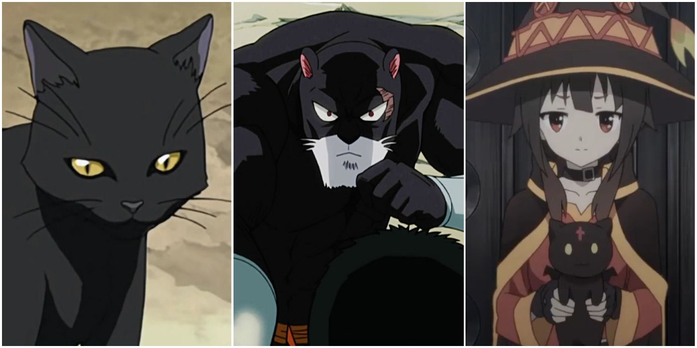 10 animes con gatos negros perfectos para Halloween