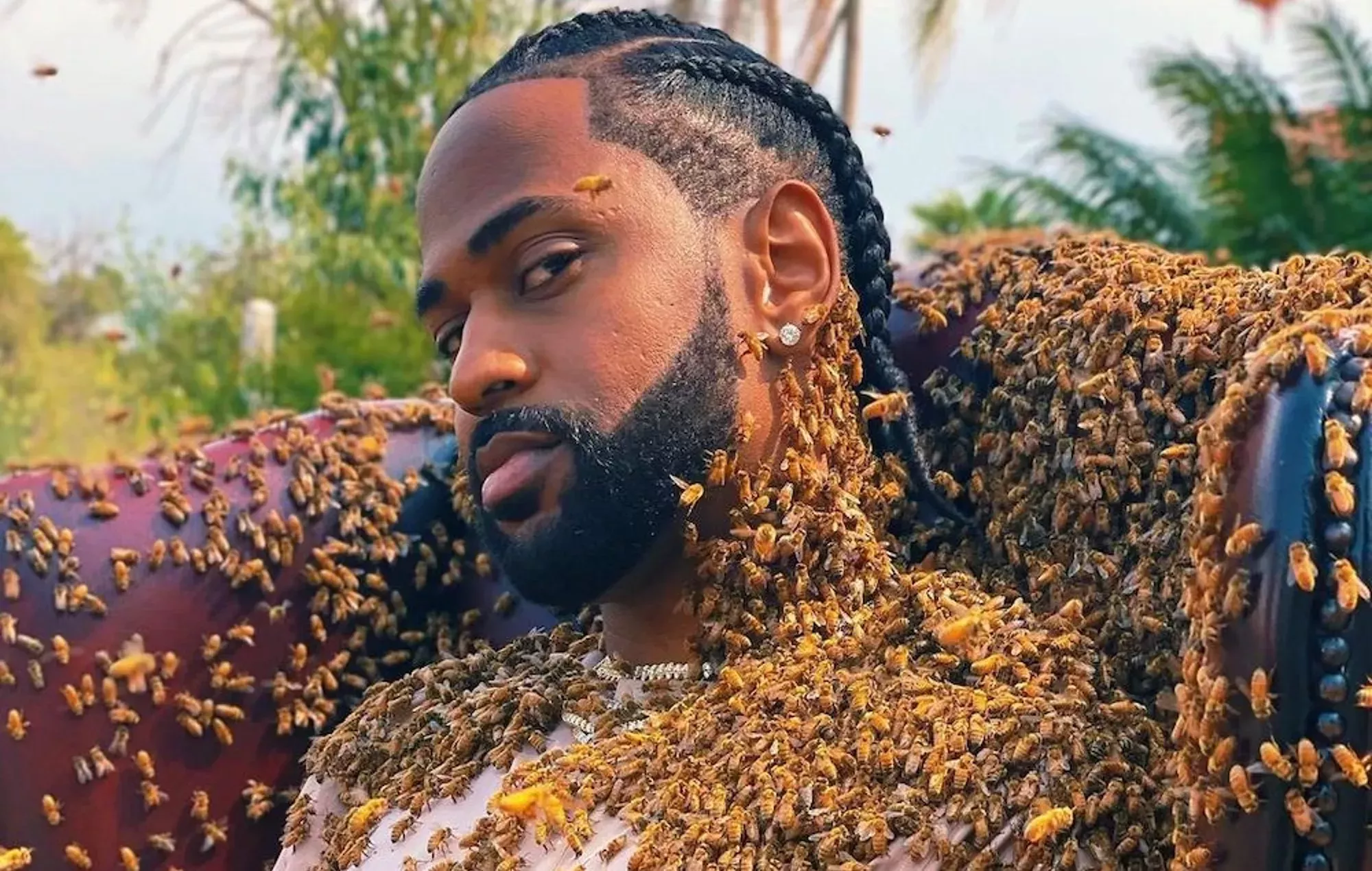 Big Sean se cubre de 65.000 abejas en el vídeo musical de su nuevo single 'What A Life'