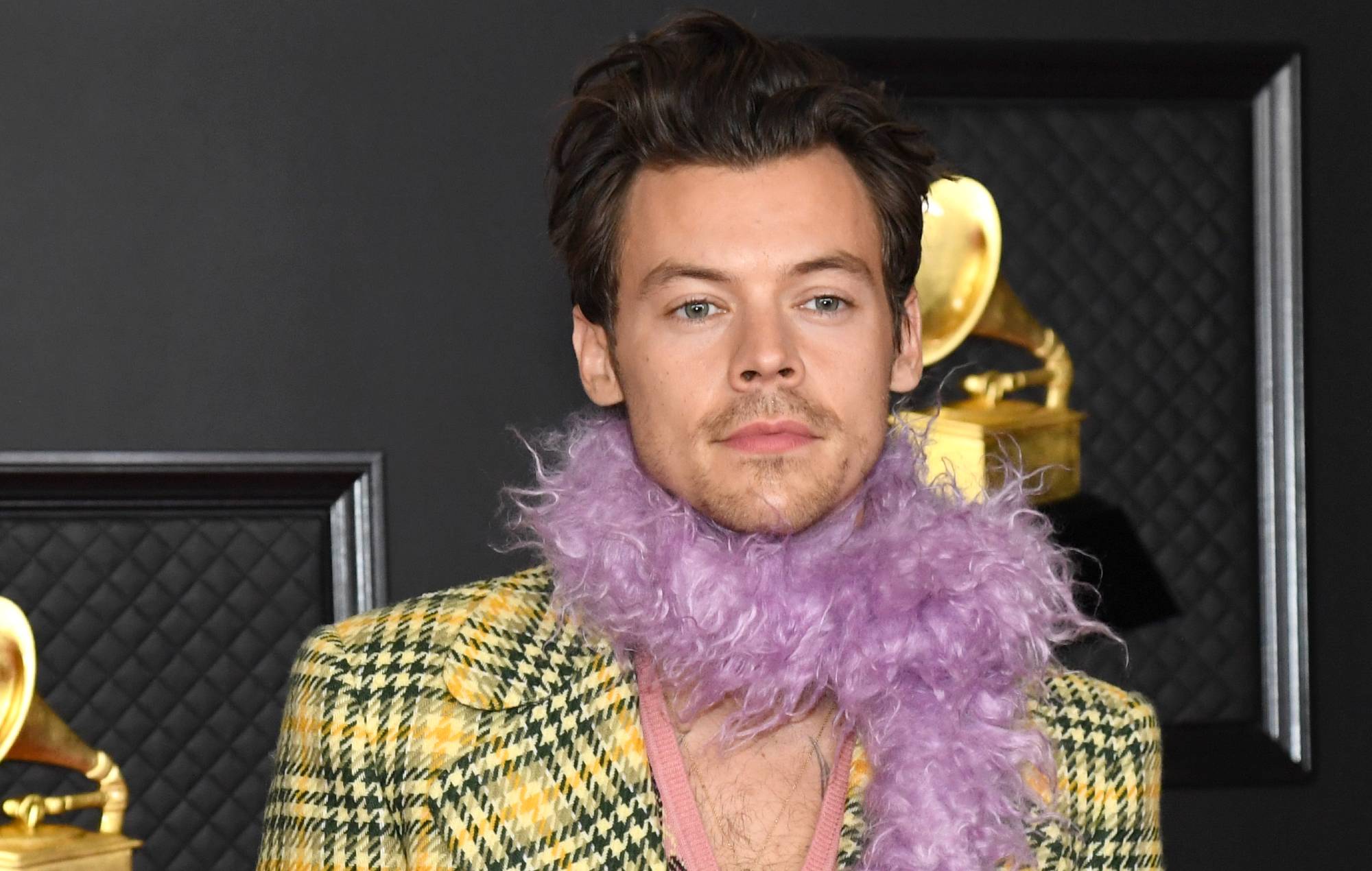 Harry Styles habría sido elegido como un personaje importante en el MCU