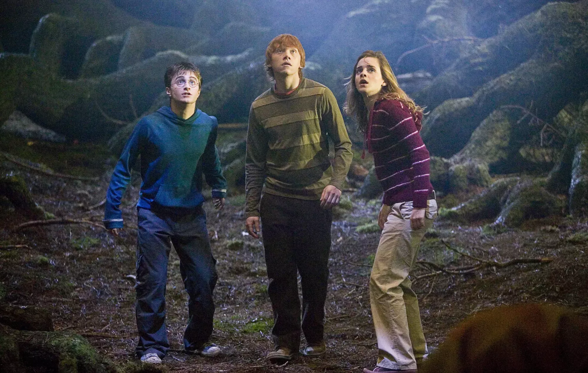 El reparto de 'Harry Potter' se reunirá para el especial del 20º aniversario en HBO