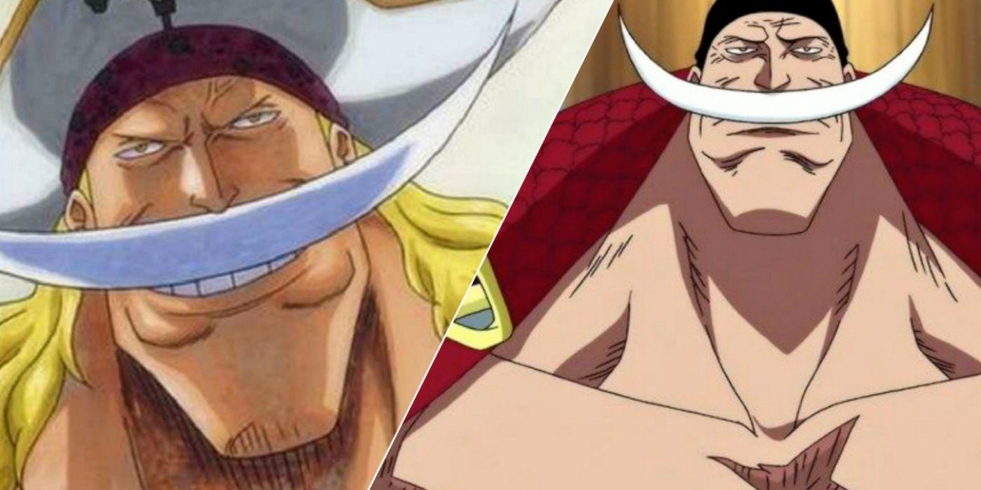 One Piece: 10 cosas que Barba Blanca estaría haciendo si aún estuviera vivo