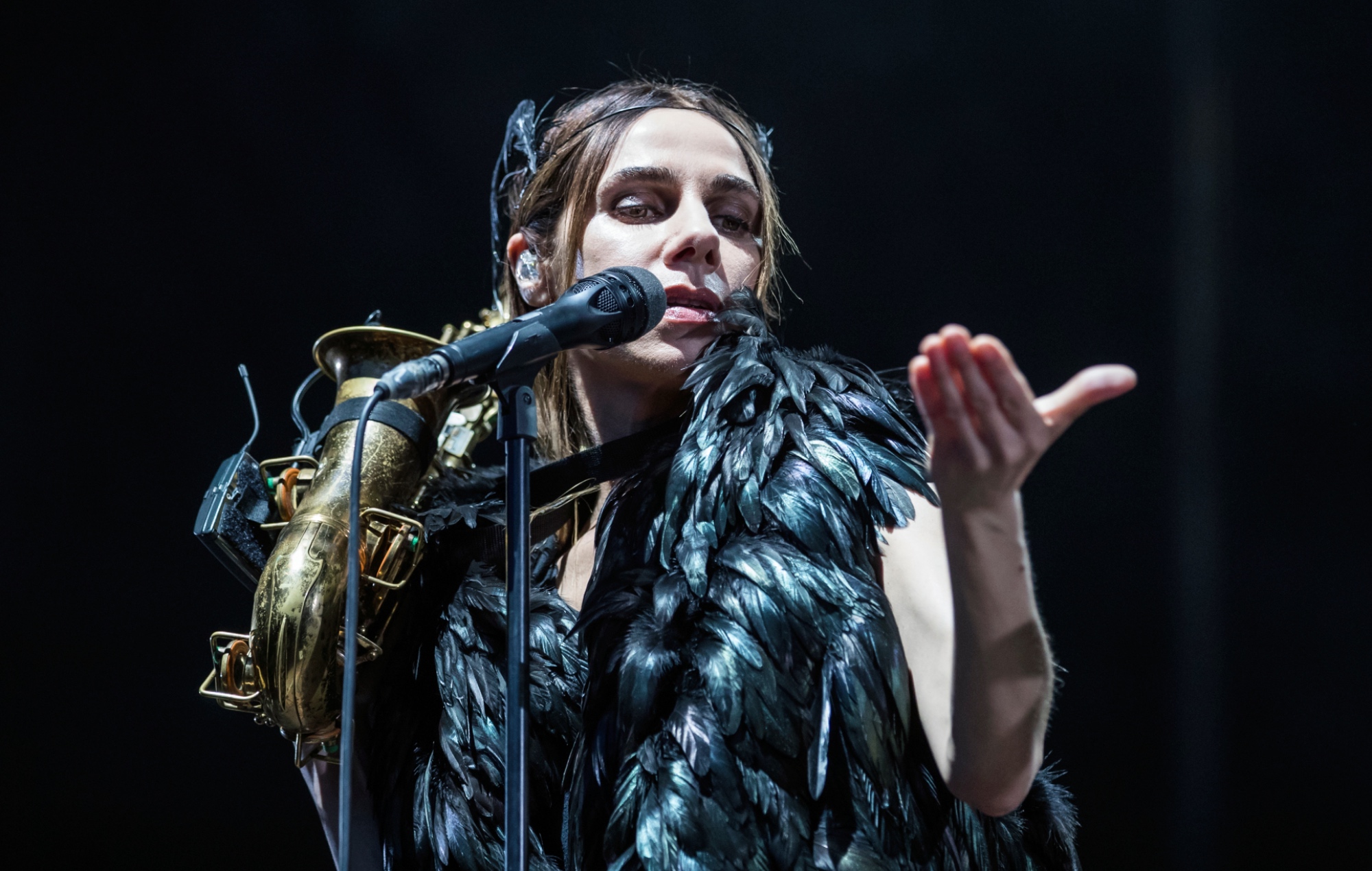 PJ Harvey anuncia un poema narrativo "hermoso y profundo", 'Orlam'