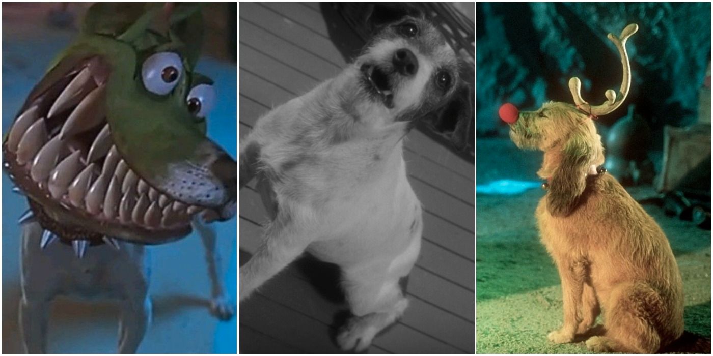 10 películas en las que el perro se lleva la palma