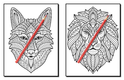 100 Animals: An Adult Coloring Book with Lions, Elephants, Owls, Horses, Dogs, Cats, and Many More! (Animals with Patterns Coloring Books)