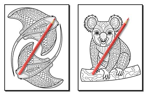 100 Animals: An Adult Coloring Book with Lions, Elephants, Owls, Horses, Dogs, Cats, and Many More! (Animals with Patterns Coloring Books)