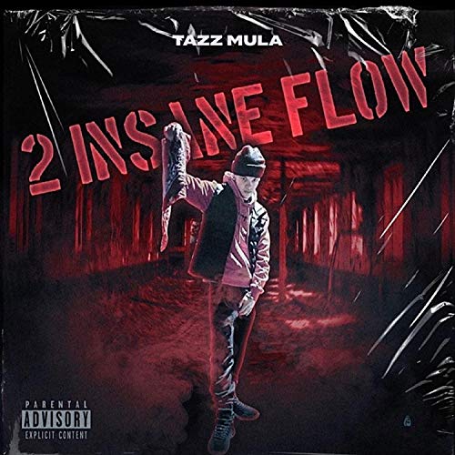 2 INSANE FLOW [Explicit]