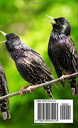 2022-2023 Monthly Pocket Planner: Cute Birds Book Cover | 2 Year Small Pocket Planner Appointment Calendar Purse | 24 Months Two Year Personalized Planner & Organizer Agenda Jan 2022-Dec 2023