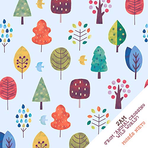 2AM (From "Animal Crossing: Wild World")