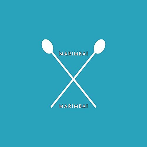 3DS Music Park (From "Mario Kart 8") [Marimba Cover]