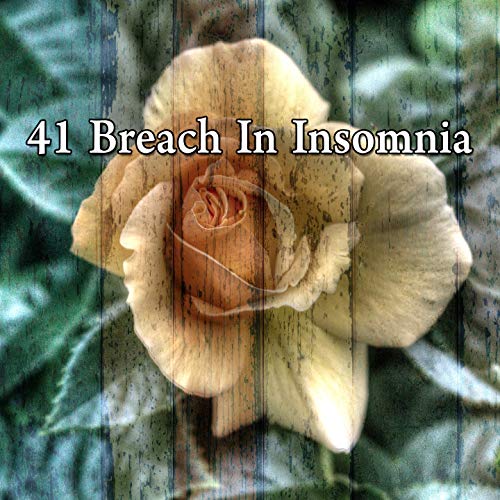 41 Breach in Insomnia