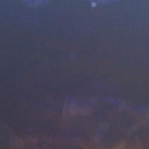 A Ballad for the Second Best Frog Detective