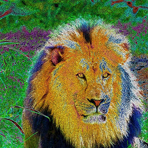 A Noite Do Meu Bem (The Night Of My Love)