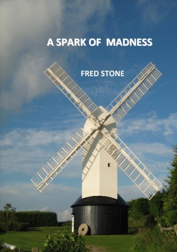 A SPARK OF MADNESS (English Edition)