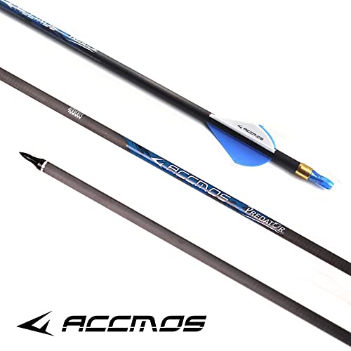 ACCMOS ID 6,2 mm Tiro al Arco Flecha de Carbono Spine 250 300 340 400 500 600 700 800 Áureo Anillo Prueba Explosión, 27-33 Pulgadas, para Jóvenes Adultos Caza Tiro 12 pz (Spine 300, 30inch)