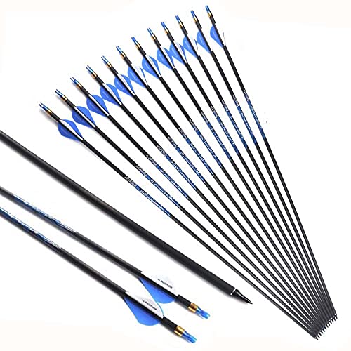 ACCMOS ID 6,2 mm Tiro al Arco Flecha de Carbono Spine 250 300 340 400 500 600 700 800 Áureo Anillo Prueba Explosión, 27-33 Pulgadas, para Jóvenes Adultos Caza Tiro 12 pz (Spine 300, 30inch)