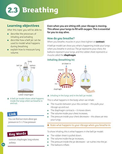 Activate 1 Student Book